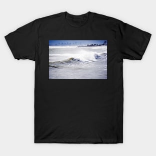 Red Rock Park and The Boston Skyline Lynn Waterfront Lynn MA T-Shirt